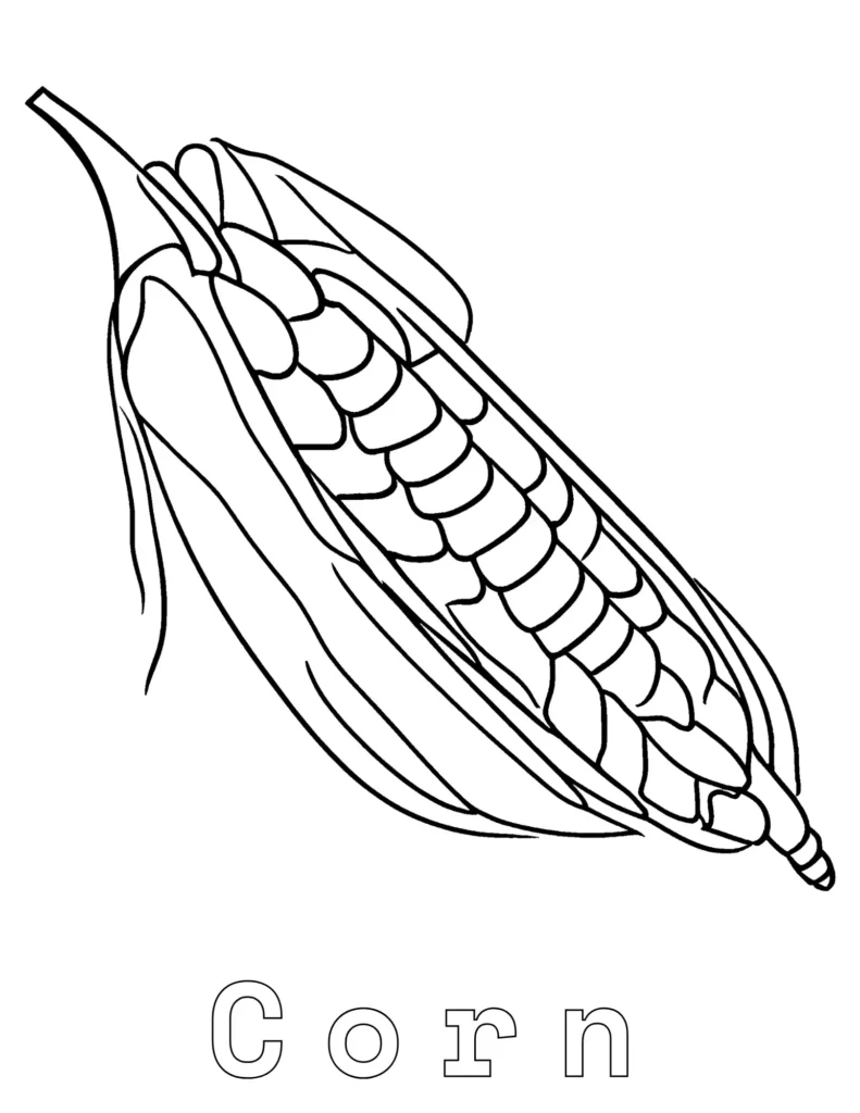 Corn coloring pages for preschoolers