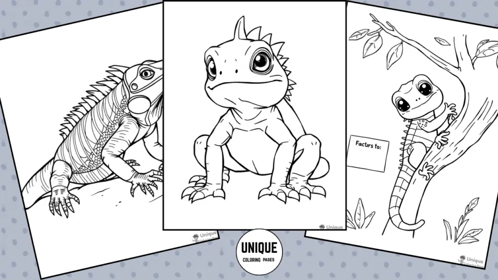 iguana coloring pages download